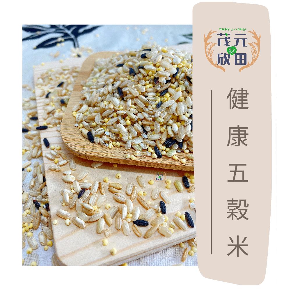 欣田食品 健康五穀米 五穀米 300g 600g-細節圖2