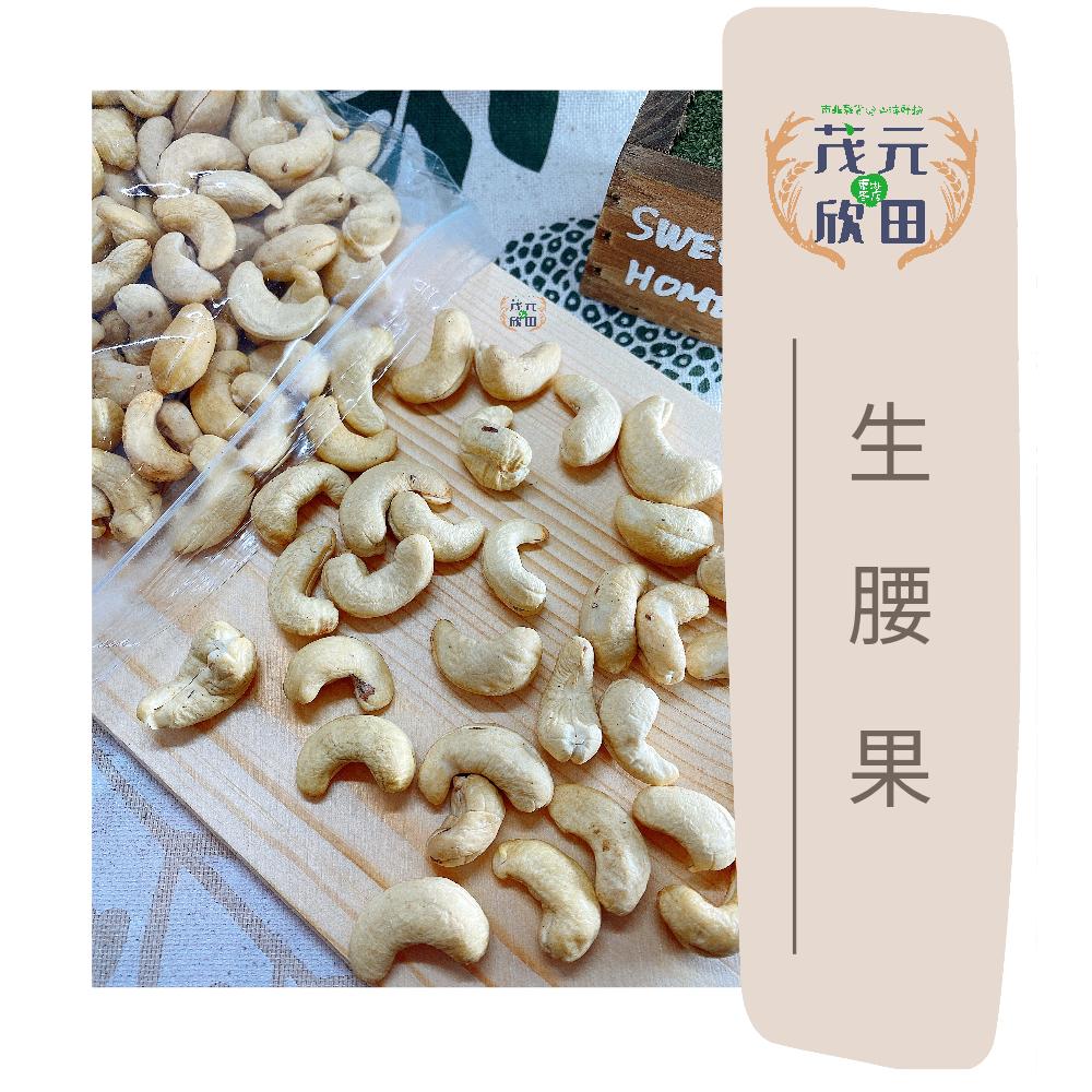 欣田食品 生腰果 腰果 規格ＷＷ240 300g 600g 烘焙材料 堅果-細節圖2