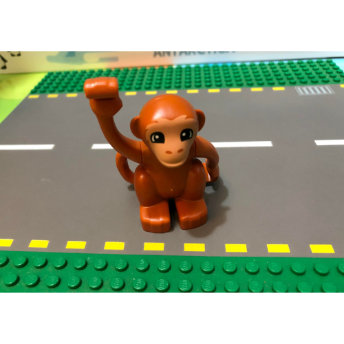【點點小豆】LEGO 樂高積木 DUPLO 得寶 動物 猴子 一個 如圖！