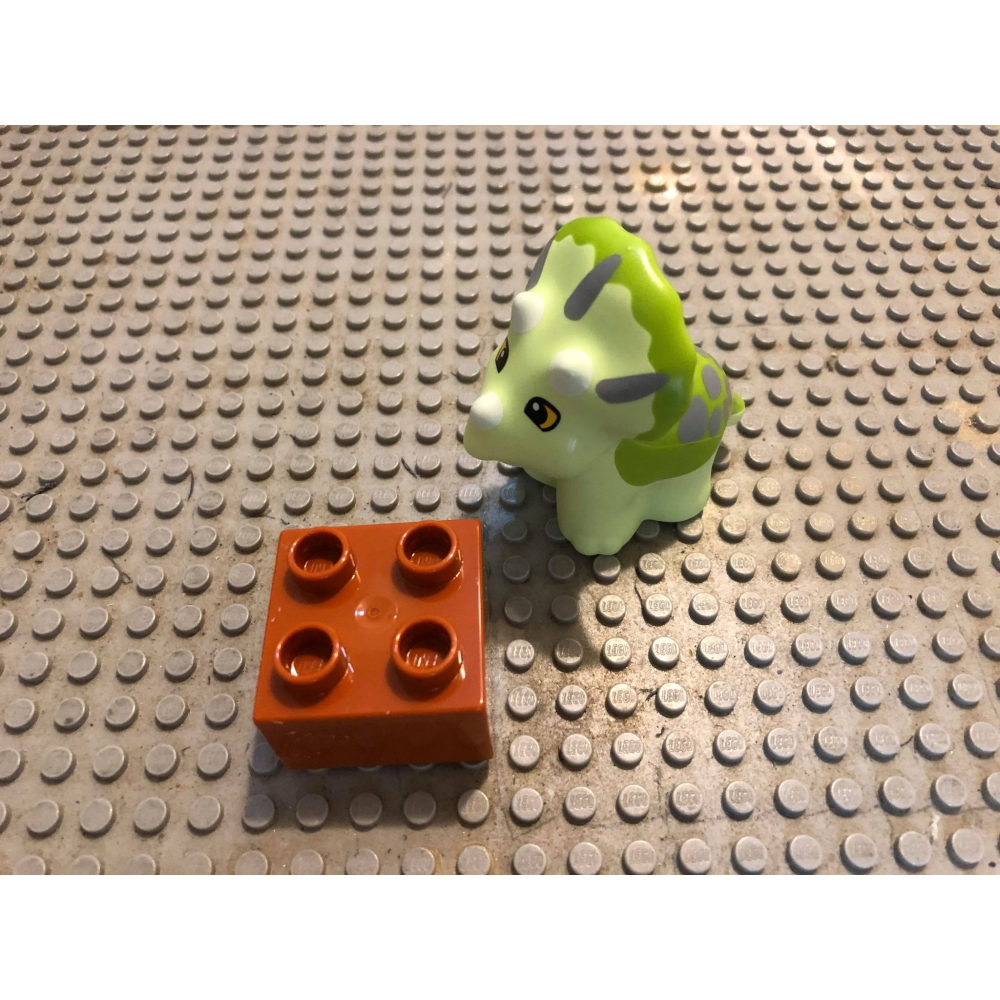 【點點小豆】lego 樂高積木 DUPLO 得寶 動物 淺綠色 恐龍 小恐龍 一個 如圖-細節圖2