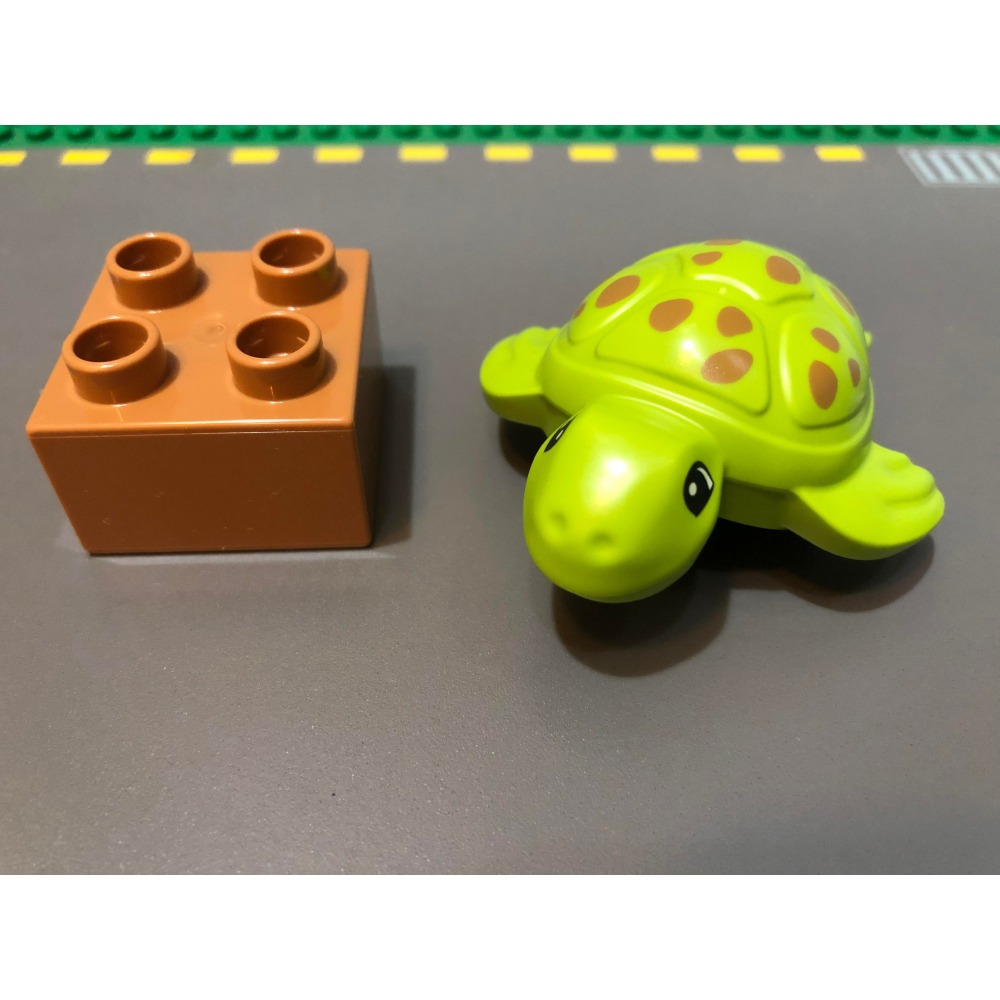 【點點小豆】LEGO 樂高積木 DUPLO 得寶 動物 淺綠色 小海龜 一個 如圖！-細節圖3
