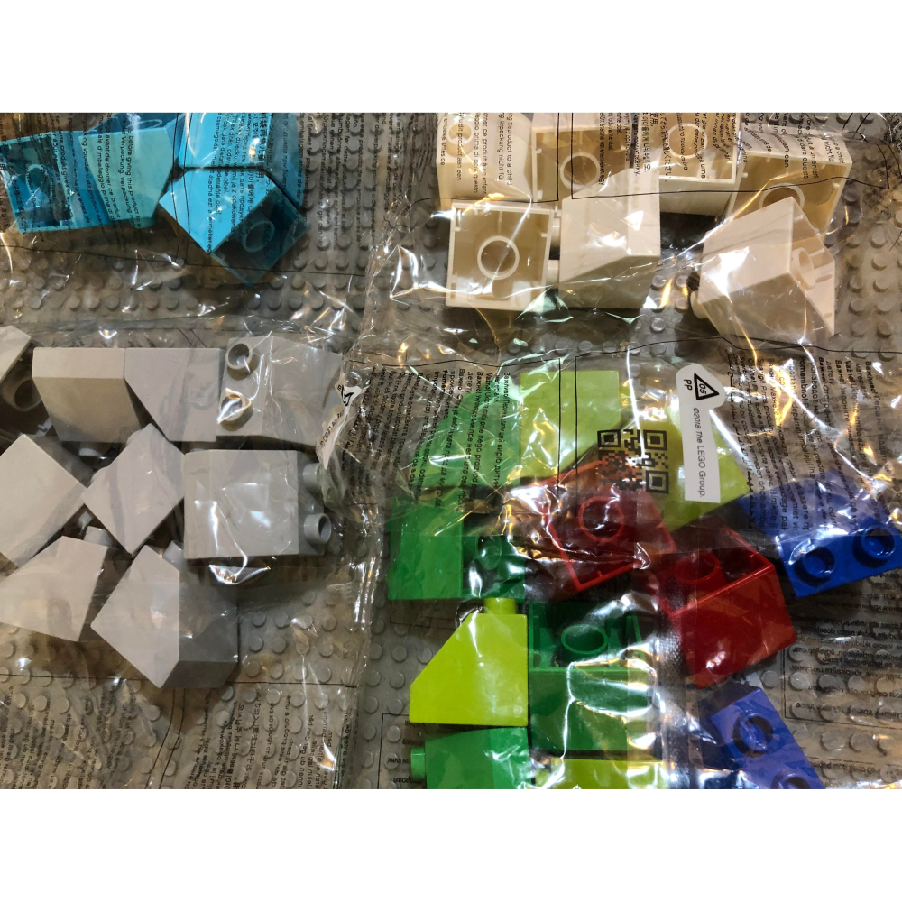 （衝評價出清）不挑色 10 個【點點小豆】 LEGO 樂高 DUPLO 得寶 積木 不挑款 不挑色 如圖 如說明！-細節圖2