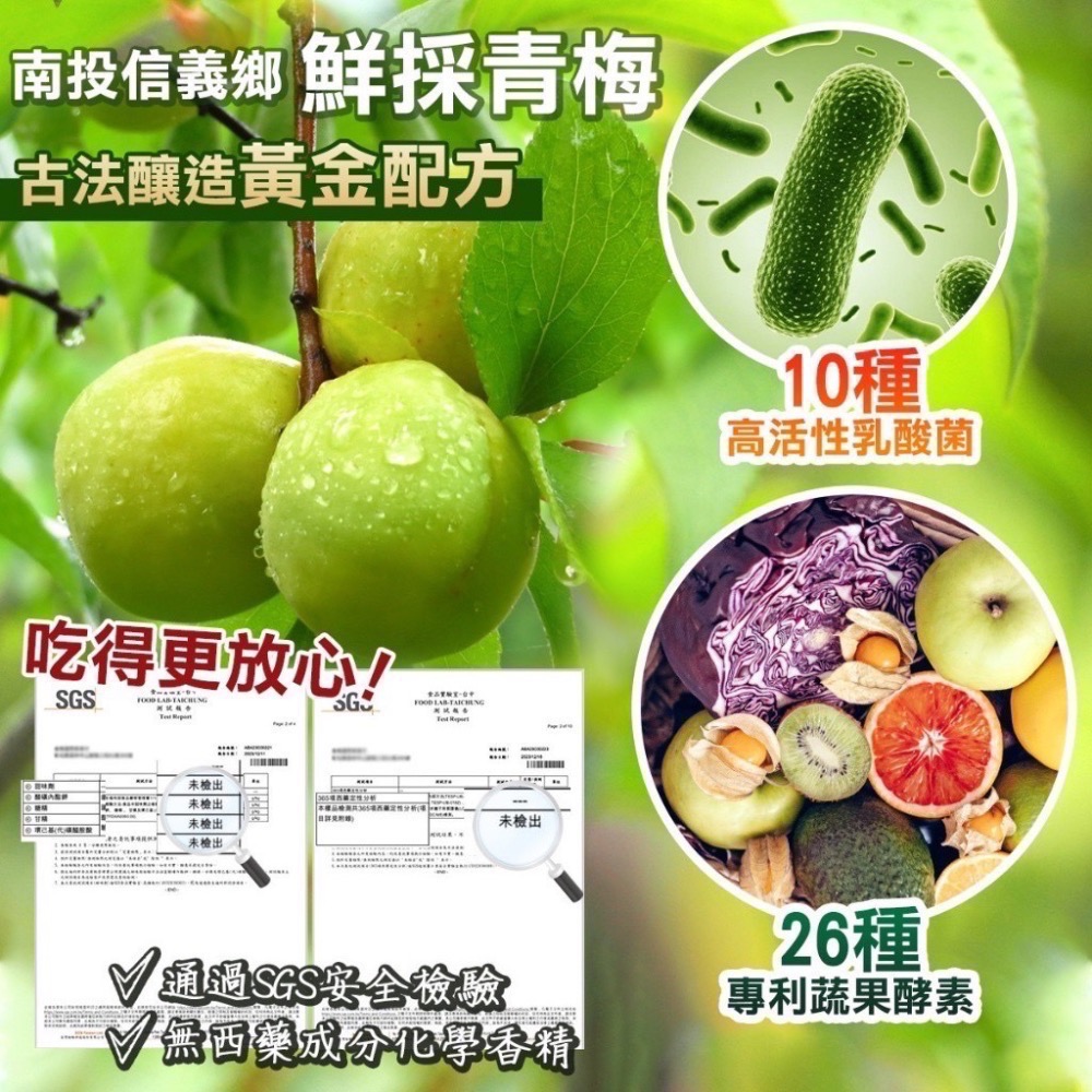 現貨 超人氣熱銷No.1⭐️乳酸菌梅 10種高活性乳酸菌🔅26種專利蔬果酵素🥦SGS檢驗安全合✔️315項西藥未-細節圖2