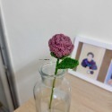 Rose. 玫瑰-規格圖2