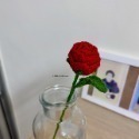 Rose. 玫瑰-規格圖3