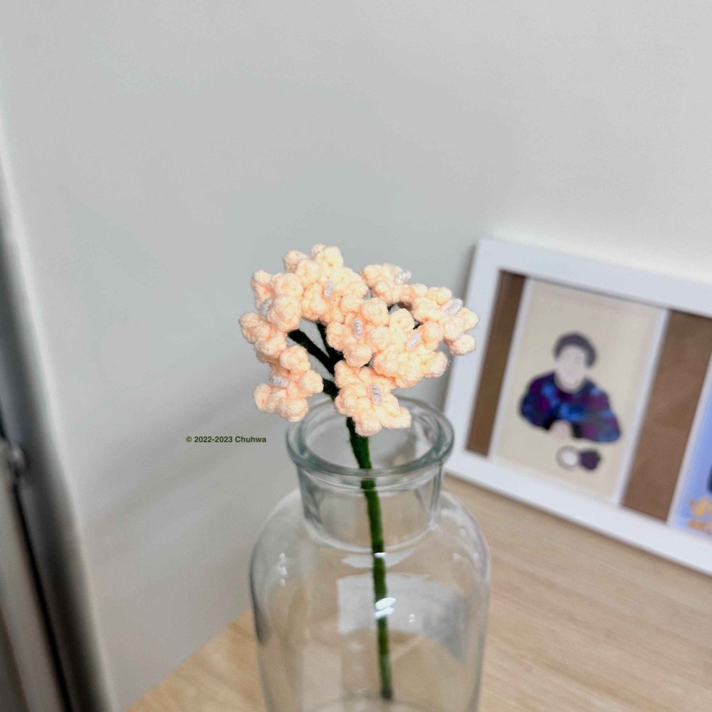 Babys-breath. 滿天星-細節圖3