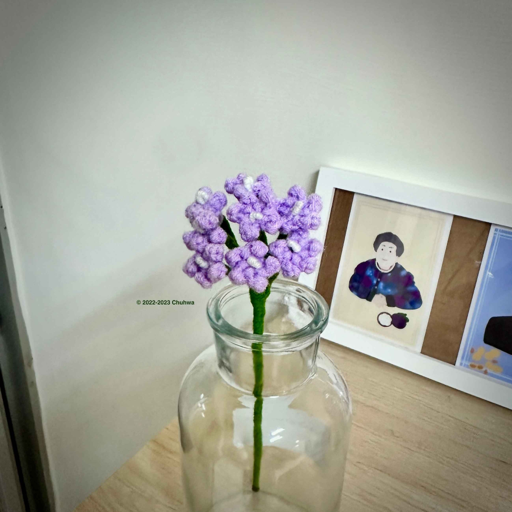 Babys-breath. 滿天星-細節圖4