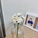 Babys-breath. 滿天星-規格圖4