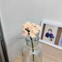 Babys-breath. 滿天星-規格圖4