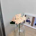 Forget-me-mot. 勿忘我-規格圖2