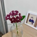 Forget-me-mot. 勿忘我-規格圖5