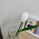 Tulip. 鬱金香-規格圖1