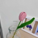 Tulip. 鬱金香-規格圖3