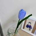 Tulip. 鬱金香-規格圖4