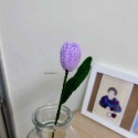 Tulip. 鬱金香-規格圖5