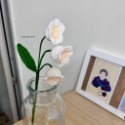 ＂Luna＂ Lily of the valley. 月光鈴蘭-規格圖1