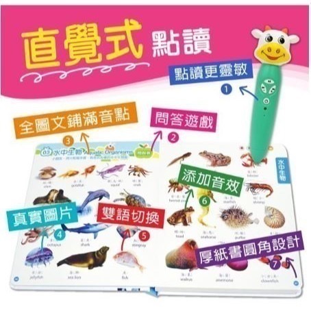 台中星玩具 現貨【小牛津】全腦開發點讀大寶盒-48件組 16G點讀筆-細節圖7