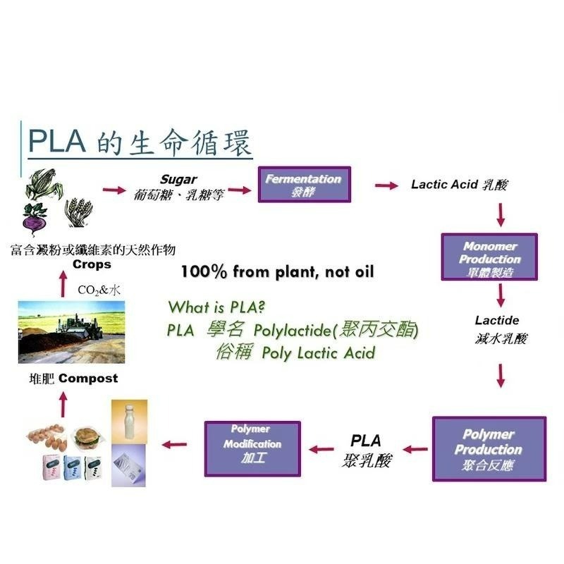 【克林CLEAN】營業用PLA環保吸管 尖斜口 6mm/12mm 單支紙包 玉米澱粉 無塑吸管 生物可分解-細節圖6