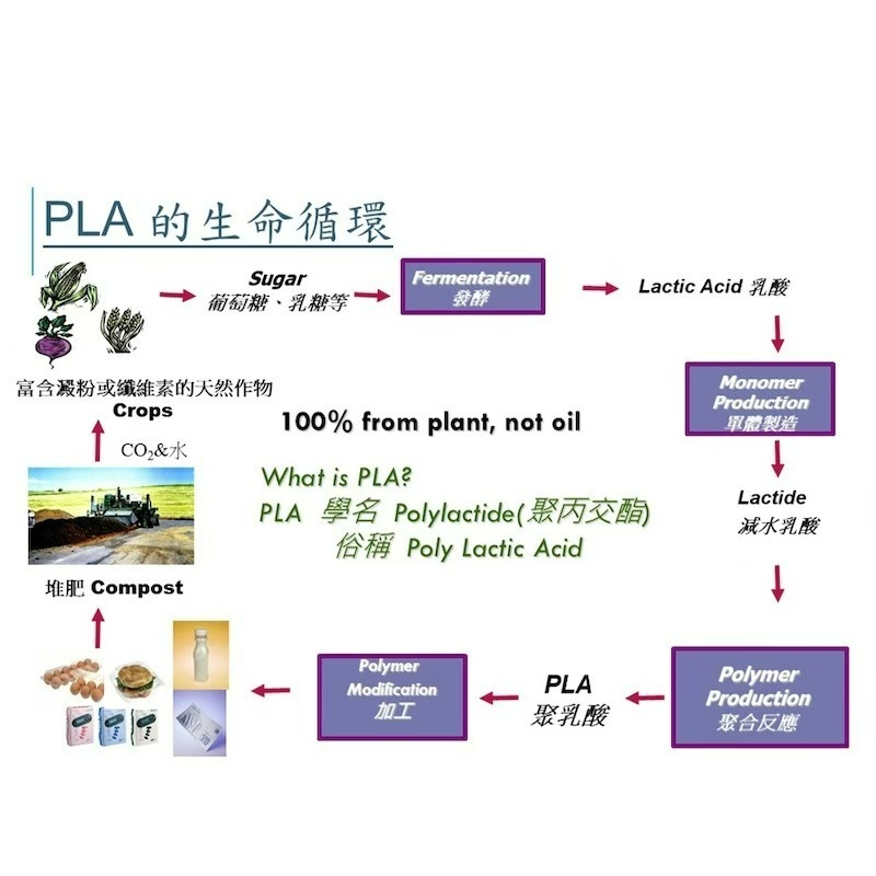 【克林CLEAN】箱售營業用PLA環保吸管 尖斜口 6mm PLA吸管 單支紙包 玉米澱粉 無塑吸管 生物可分解-細節圖9