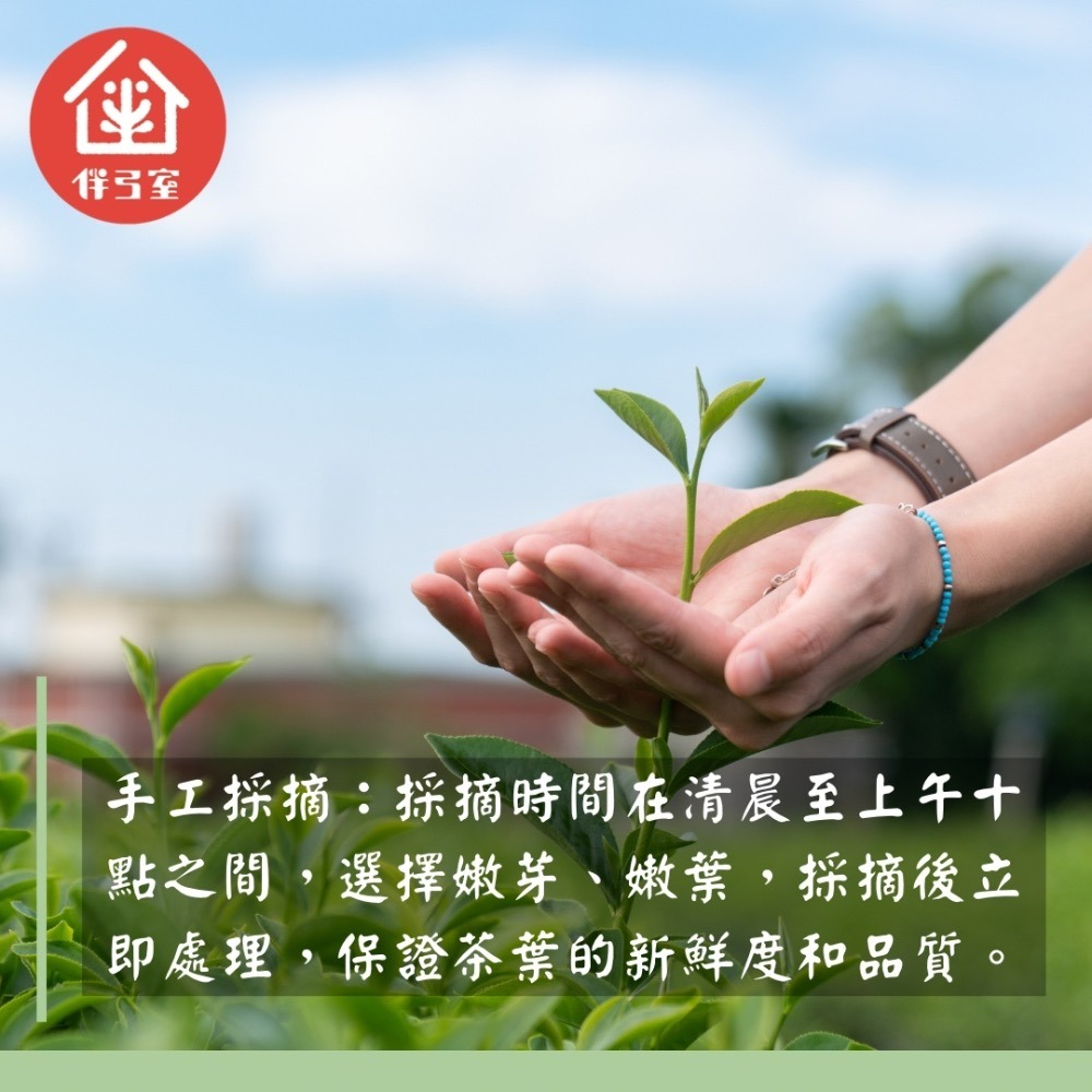 伴弓室Hen夯 迎香烏龍茶-細節圖3