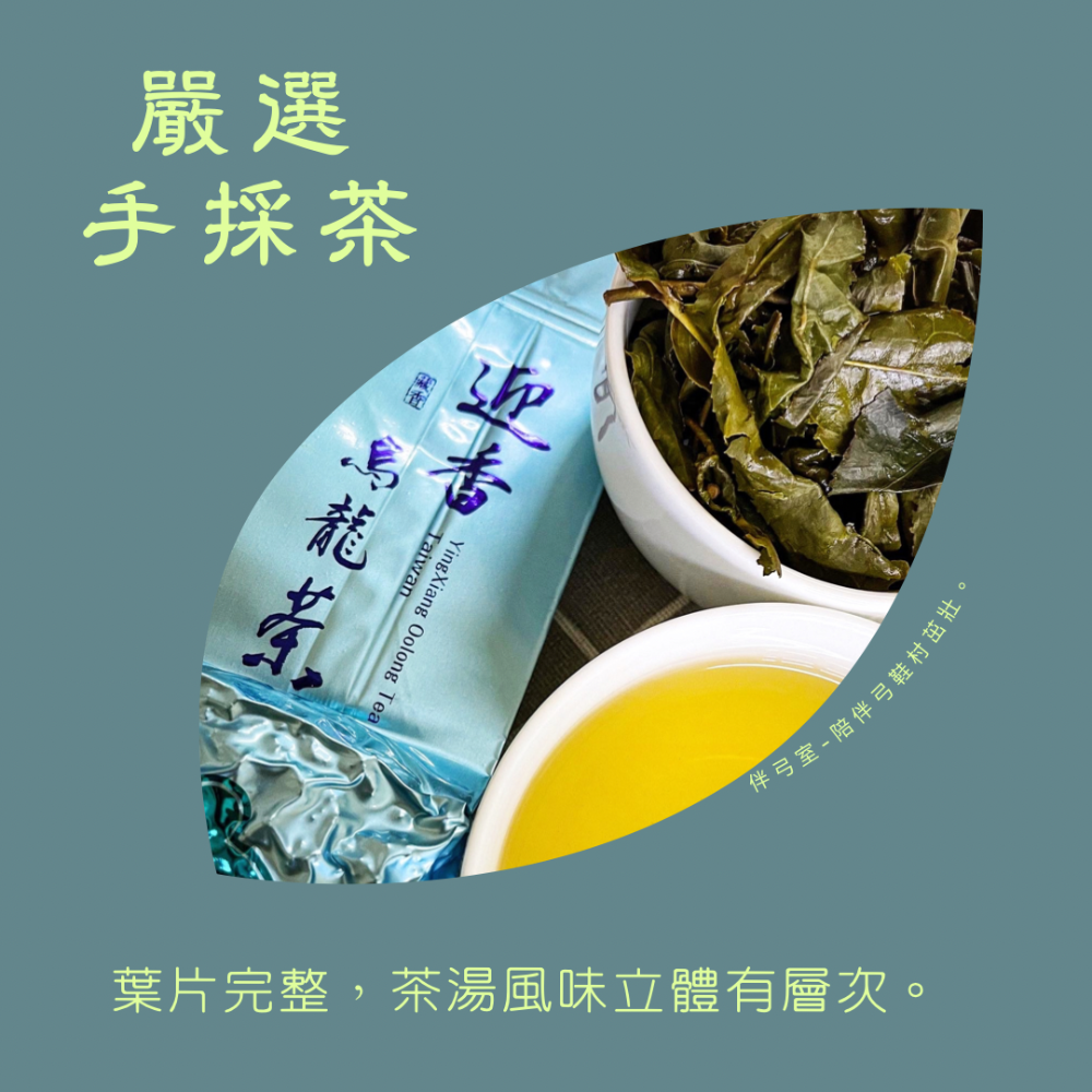 伴弓室Hen夯 手採茶 迎香烏龍茶-細節圖5