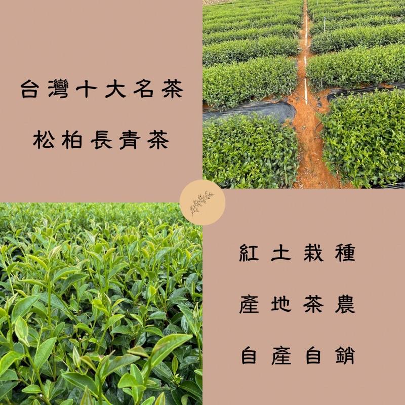 【自然農法 生態茶系列】【手採蜜玉烏龍】清香型紅土生態茶 伴弓室 Hen夯 黃麗娟-細節圖6