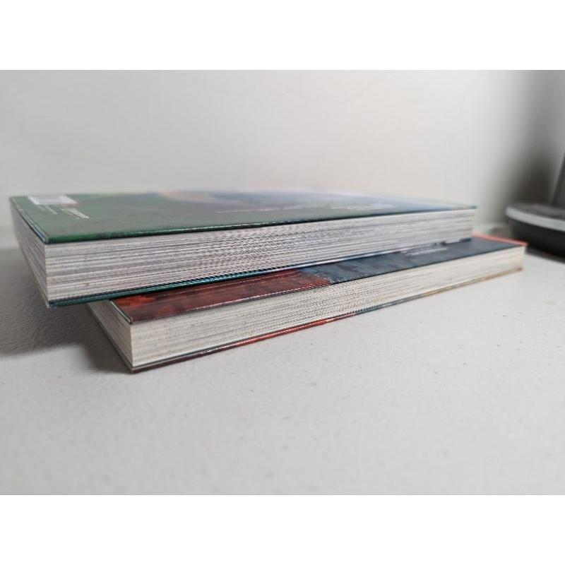 自藏書 邢大與狐仙 上+下 (2冊合售) 華人漫畫新星 艾姆兔 作者 明毓屏-細節圖4