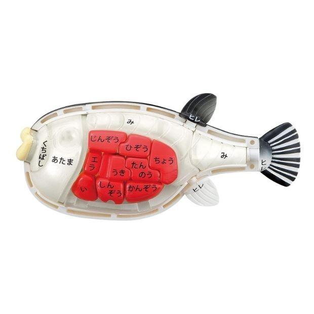 【奇奇模型】買一整條魚！河豚趣味拼圖  益智 桌遊 MH514839-細節圖6