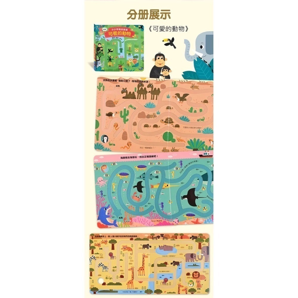 特賣 絕版現貨 ✪ 小小手指走迷宮(全套四冊) 下單後請敲我-細節圖5
