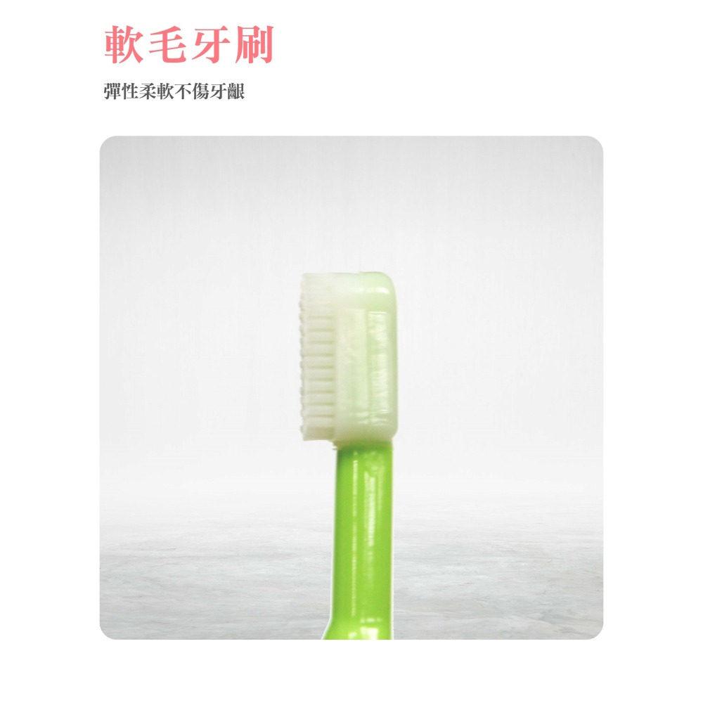 DOOBY大眼蛙 手握乳牙刷 兒童牙刷 乳牙刷 嬰兒牙刷 寶寶牙刷-細節圖3