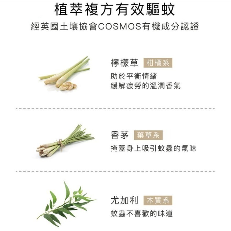 小獅王辛巴 長效檸檬精油防蚊貼 薰衣草精油防蚊液 公主 冰雪奇緣 庫洛米 防蚊貼 防蚊液 兒童防蚊貼 兒童防蚊液-細節圖3