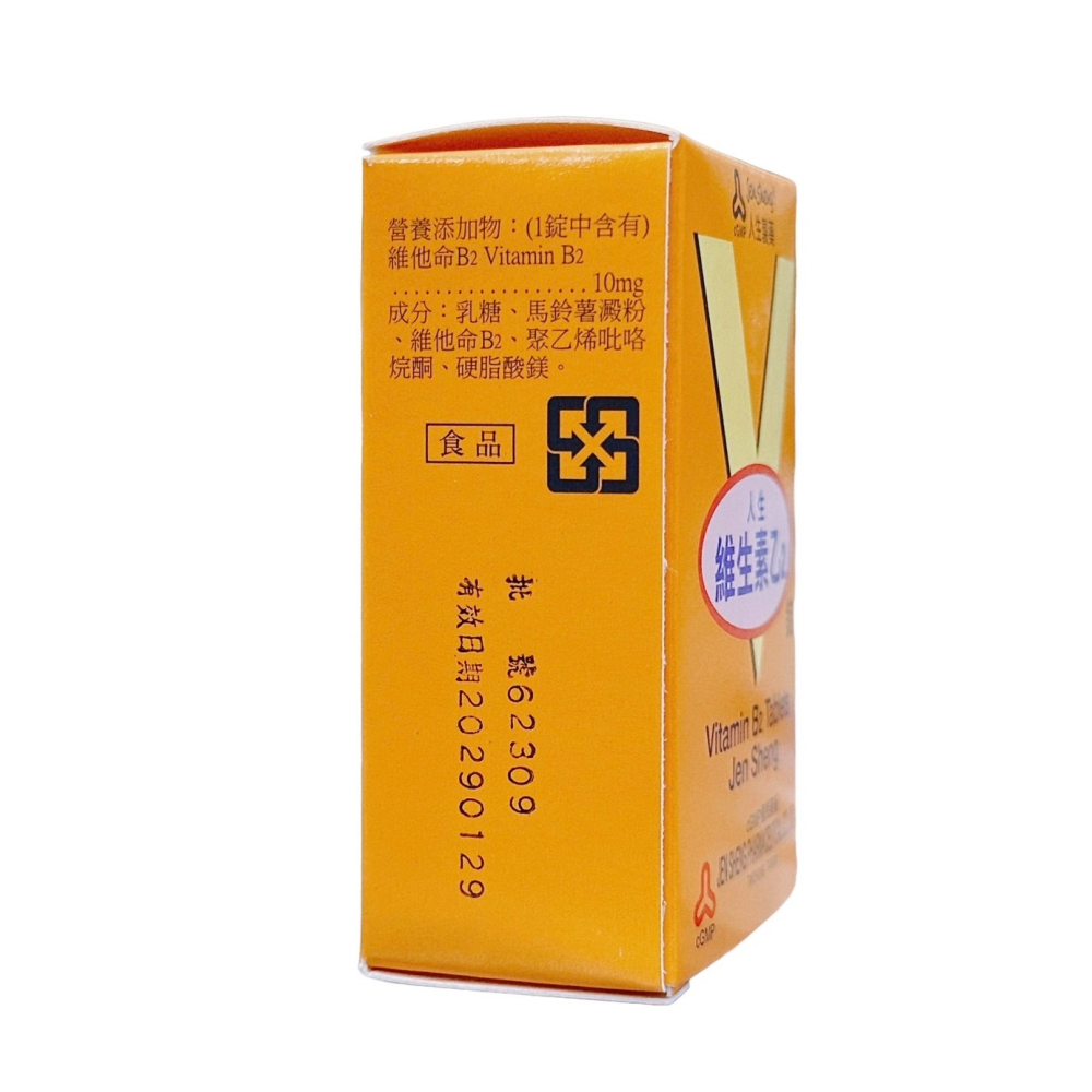 人生製藥 人生維生素乙2錠 B2 102錠-細節圖3