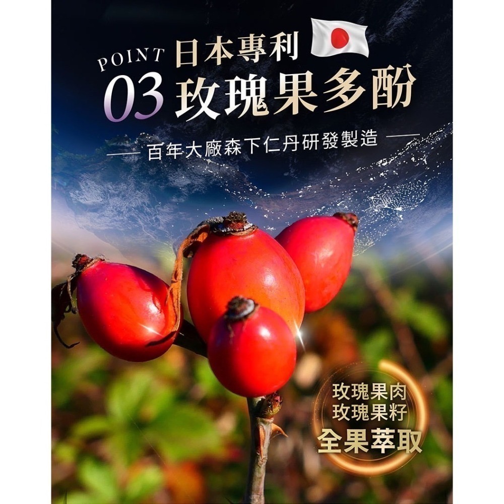 iVENOR紫孅果30顆/盒 紫茶+玫瑰果膠囊 紫纖果(公司貨) 效期新-細節圖4