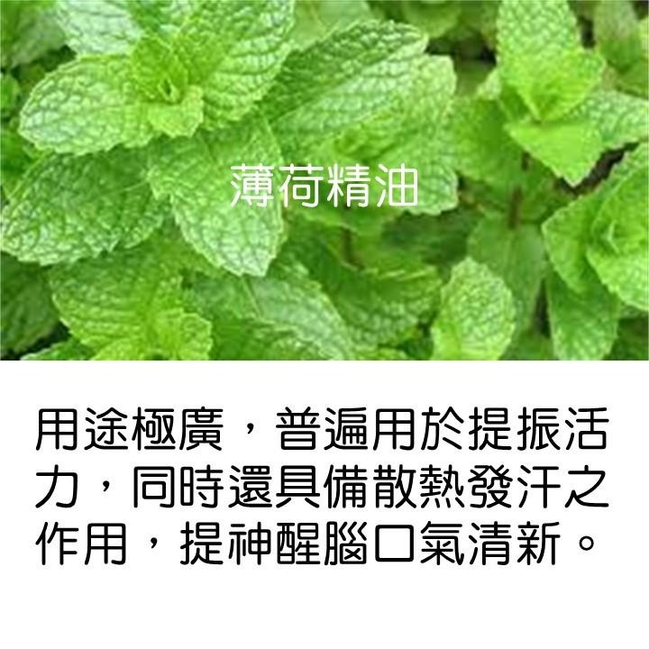 【台灣24H出貨SGS】米爾客純精油15ml 甜橙 薄荷 澳洲頂級精油 招財 美容護膚 放鬆 舒緩降壓 除異味 散熱提神-細節圖3