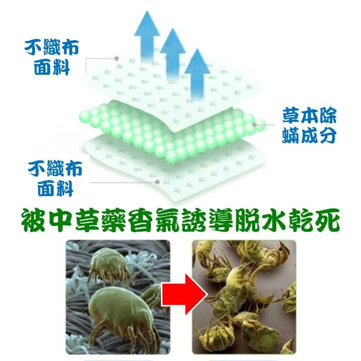 【台灣24H出貨每盒3包成本價清庫存】草本植物除蟎包 除塵蟎片 母嬰適用 消除塵蟎 除蟎貼片 捕蟎 塵蹣片 防蟎墊 塵蹣-細節圖4