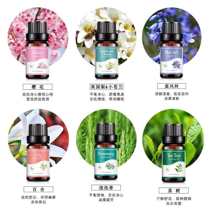 【台北24H出貨13款】水溶香薰精油10ml 薰香香氛 擴香 加濕器 加溼器 擴香瓶 水溶性精油 植物香薰精油 香氛精油-細節圖11