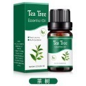 【台北24H出貨13款】水溶香薰精油10ml 薰香香氛 擴香 加濕器 加溼器 擴香瓶 水溶性精油 植物香薰精油 香氛精油-規格圖11