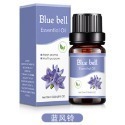【台北24H出貨13款】水溶香薰精油10ml 薰香香氛 擴香 加濕器 加溼器 擴香瓶 水溶性精油 植物香薰精油 香氛精油-規格圖11