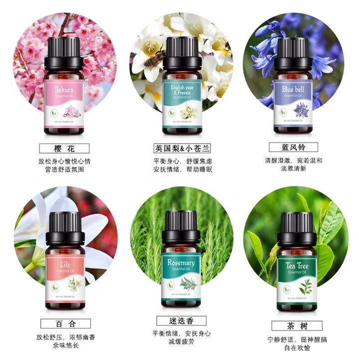 【台北24H出貨13款】水溶香氛精油10ml 薰香精油 玫瑰 薰衣草 茉莉 櫻花 單方精油 水氧機 空氣加濕器 薰香機-細節圖11