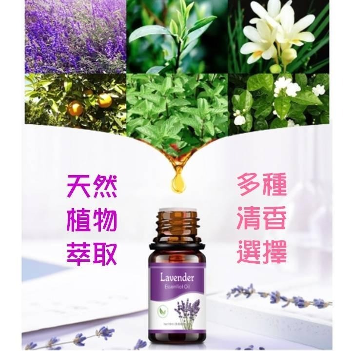 【台北24H出貨13款】水溶香氛精油10ml 薰香精油 玫瑰 薰衣草 茉莉 櫻花 單方精油 水氧機 空氣加濕器 薰香機-細節圖2