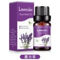 【台北24H出貨13款】水溶香氛精油10ml 薰香精油 玫瑰 薰衣草 茉莉 櫻花 單方精油 水氧機 空氣加濕器 薰香機-規格圖11