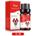 【台北24H出貨13款】水溶香氛精油10ml 薰香精油 玫瑰 薰衣草 茉莉 櫻花 單方精油 水氧機 空氣加濕器 薰香機-規格圖11