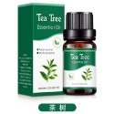 【台北24H出貨13款】水溶香氛精油10ml 薰香精油 玫瑰 薰衣草 茉莉 櫻花 單方精油 水氧機 空氣加濕器 薰香機-規格圖11