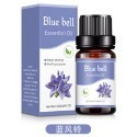 【台北24H出貨13款】水溶香氛精油10ml 薰香精油 玫瑰 薰衣草 茉莉 櫻花 單方精油 水氧機 空氣加濕器 薰香機-規格圖11