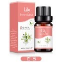 【台北24H出貨13款】水溶香氛精油10ml 薰香精油 玫瑰 薰衣草 茉莉 櫻花 單方精油 水氧機 空氣加濕器 薰香機-規格圖11