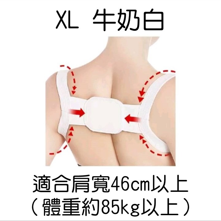 牛奶白：XL