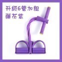 升級6管拉力器：藤花紫