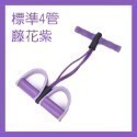 標準4管拉力器：藤花紫