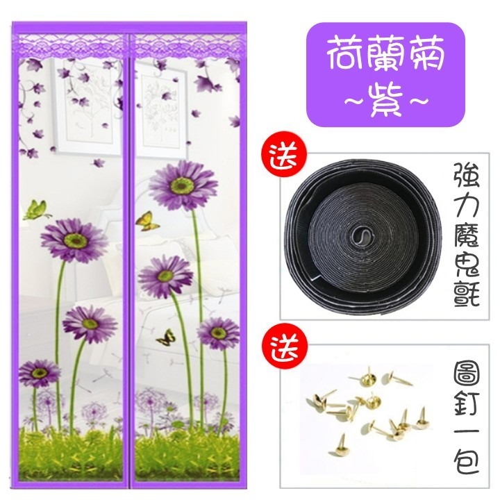魔術貼款：荷蘭菊紫