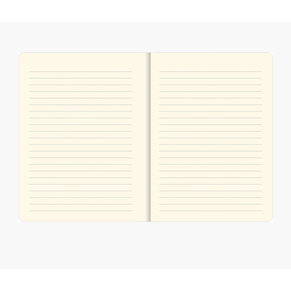 🇺🇸 Peter Pauper 中型硬殼筆記本 Bookbound Journals-細節圖4